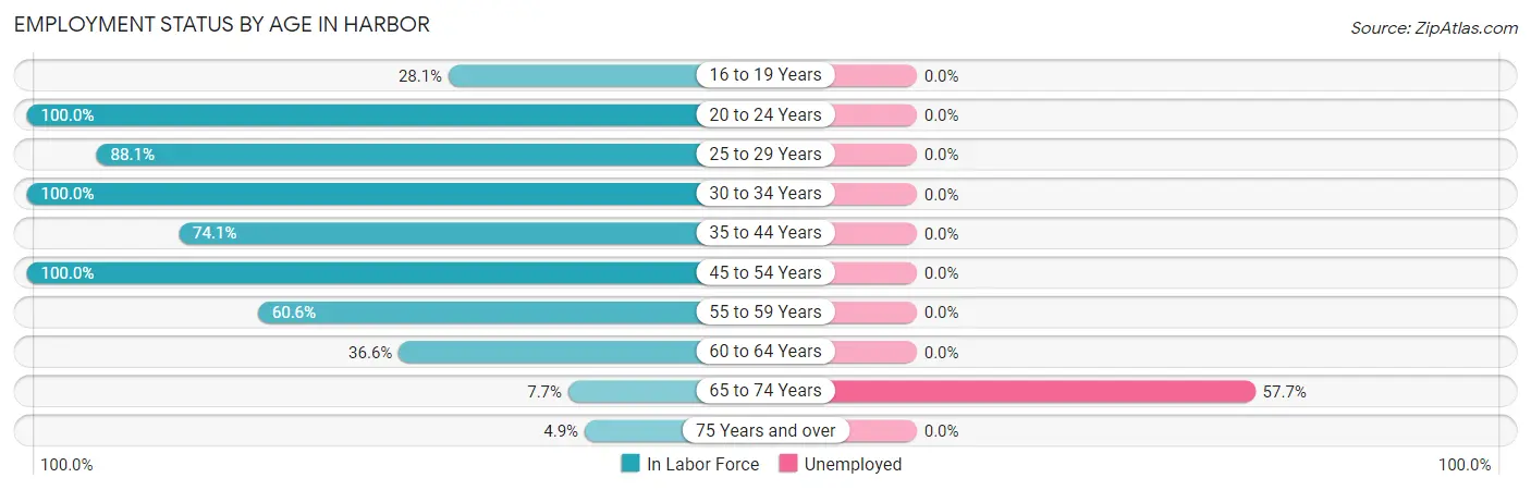 Employment Status by Age in Harbor