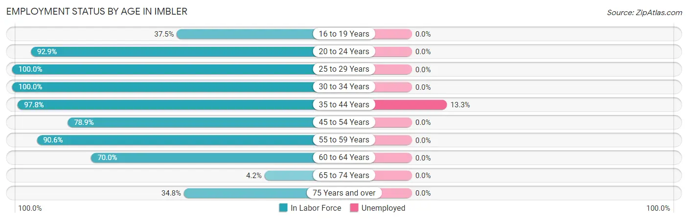Employment Status by Age in Imbler