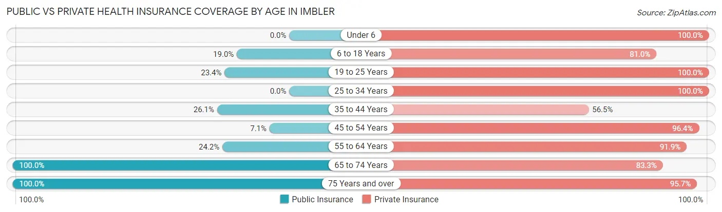 Public vs Private Health Insurance Coverage by Age in Imbler