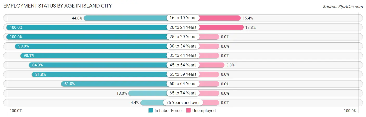 Employment Status by Age in Island City