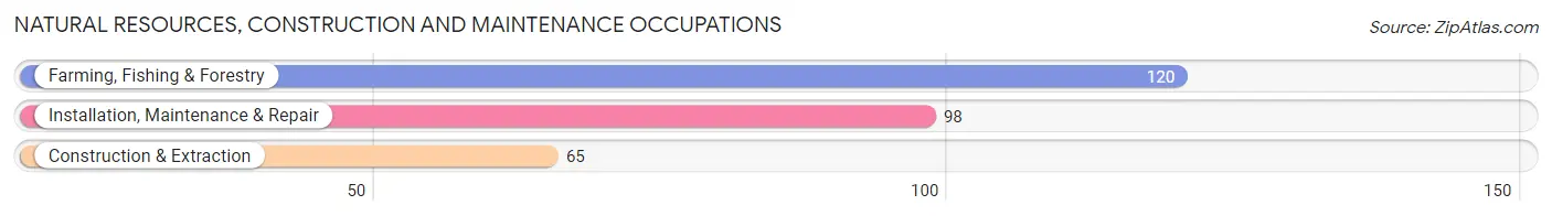 Natural Resources, Construction and Maintenance Occupations in Jefferson