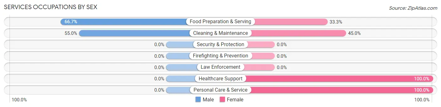 Services Occupations by Sex in Johnson City