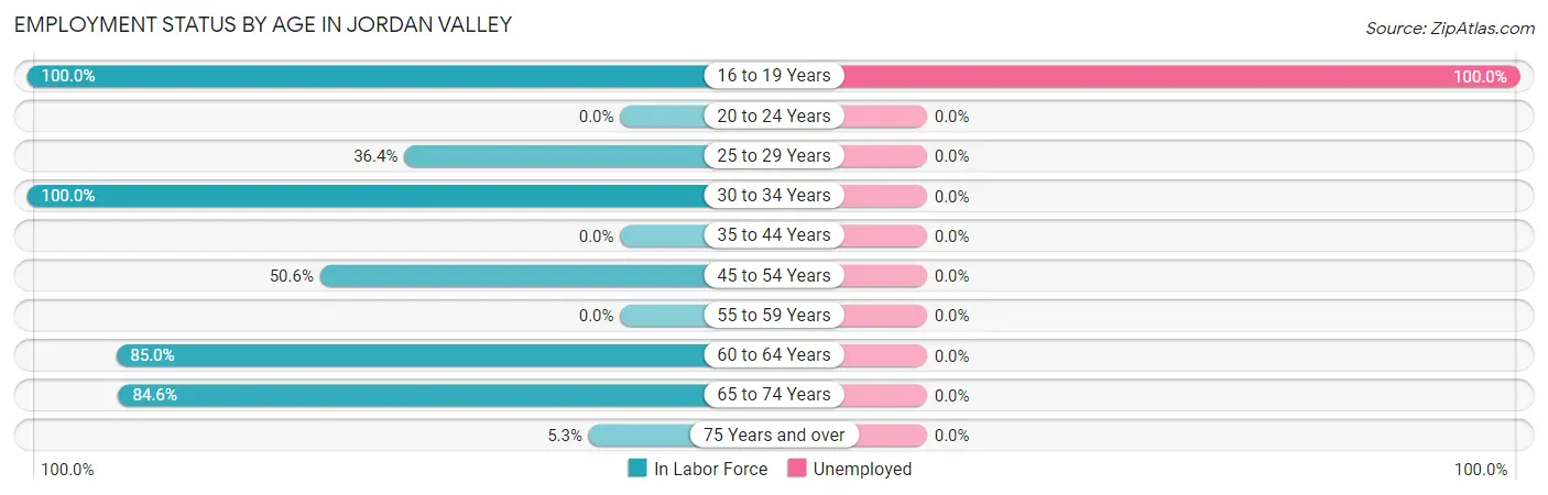 Employment Status by Age in Jordan Valley