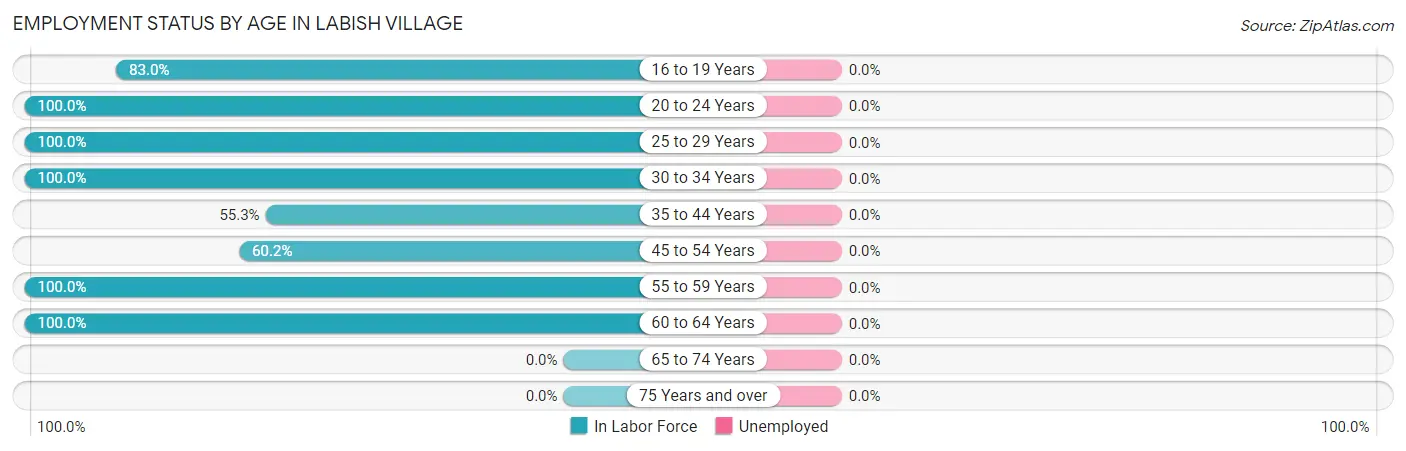 Employment Status by Age in Labish Village