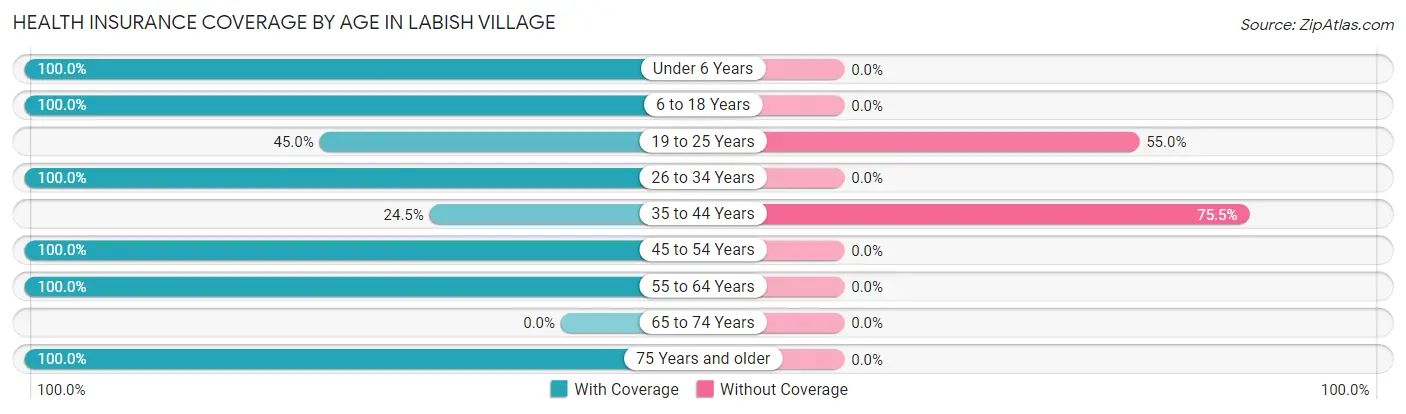 Health Insurance Coverage by Age in Labish Village
