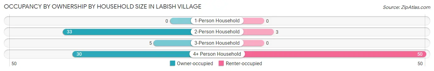 Occupancy by Ownership by Household Size in Labish Village