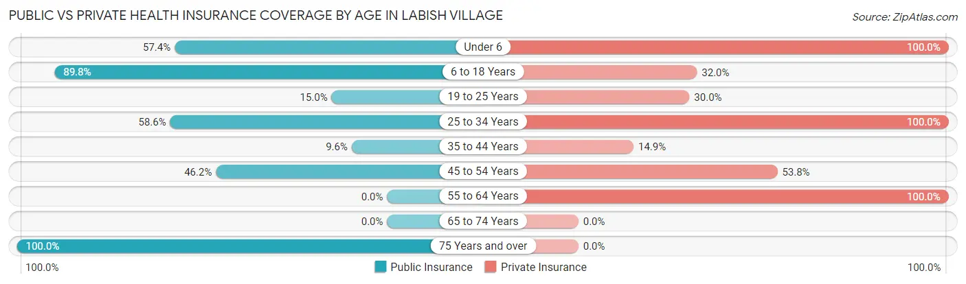 Public vs Private Health Insurance Coverage by Age in Labish Village