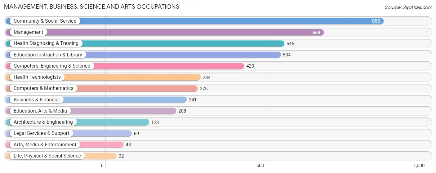 Management, Business, Science and Arts Occupations in Lebanon