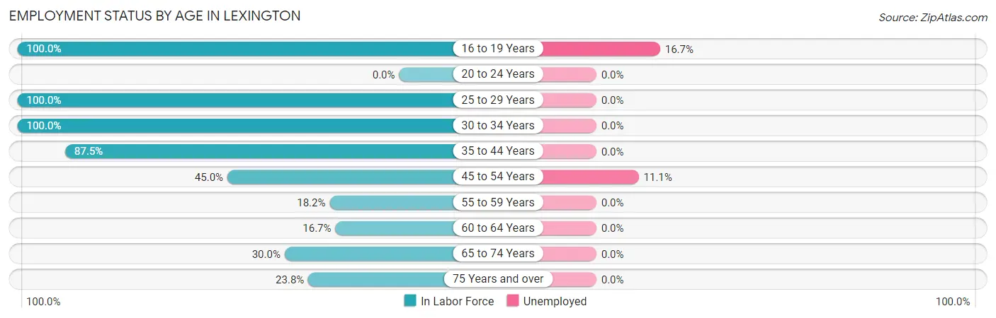 Employment Status by Age in Lexington