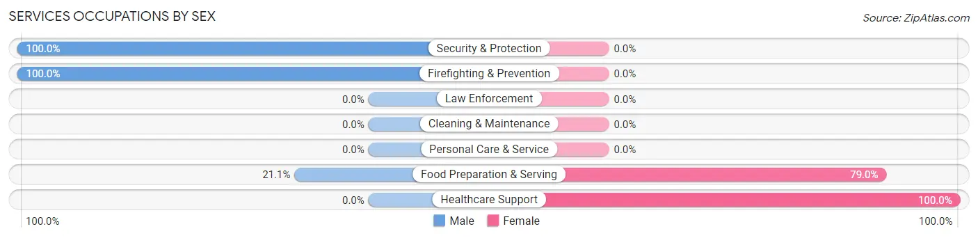 Services Occupations by Sex in Lyons