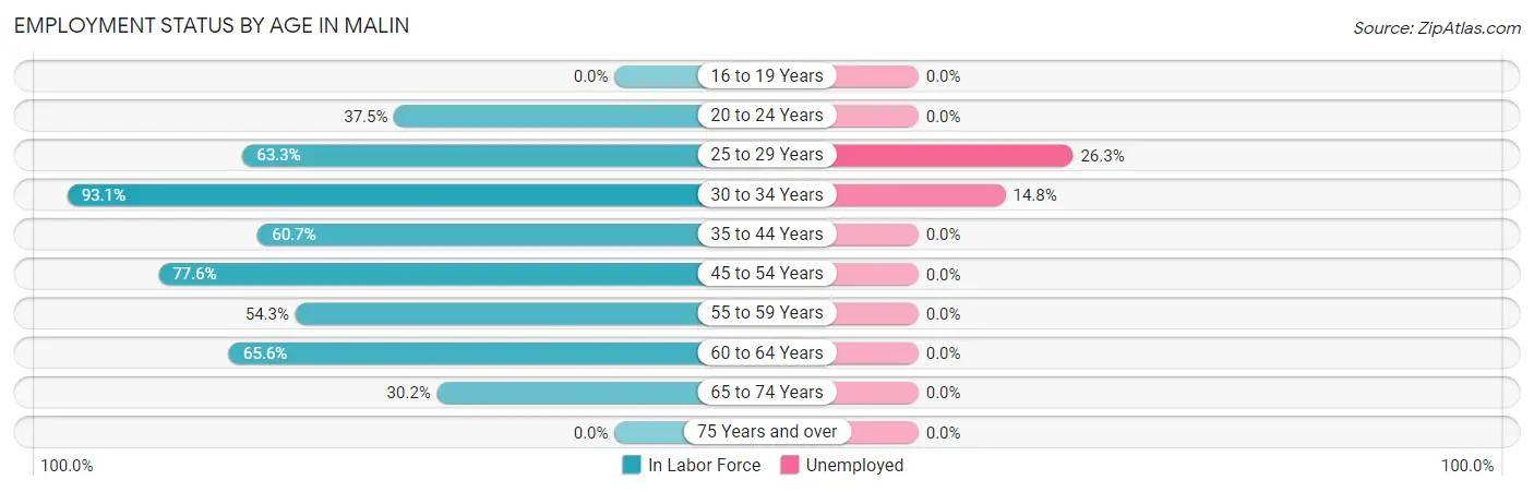 Employment Status by Age in Malin
