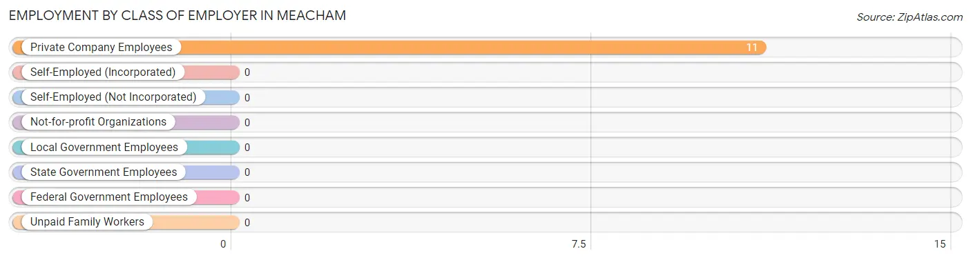 Employment by Class of Employer in Meacham