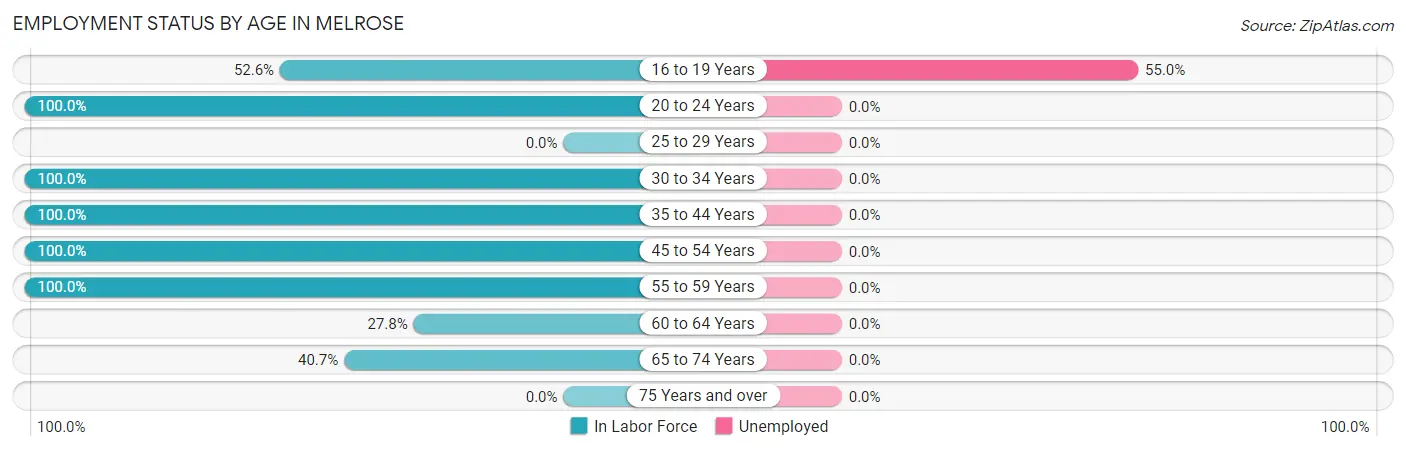 Employment Status by Age in Melrose