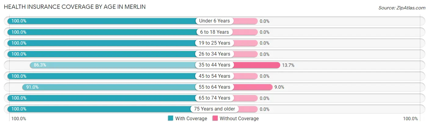 Health Insurance Coverage by Age in Merlin