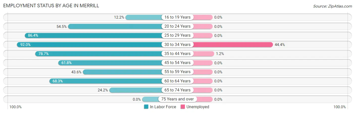 Employment Status by Age in Merrill