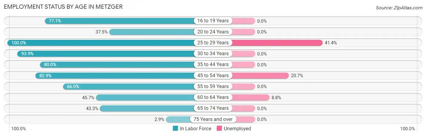 Employment Status by Age in Metzger