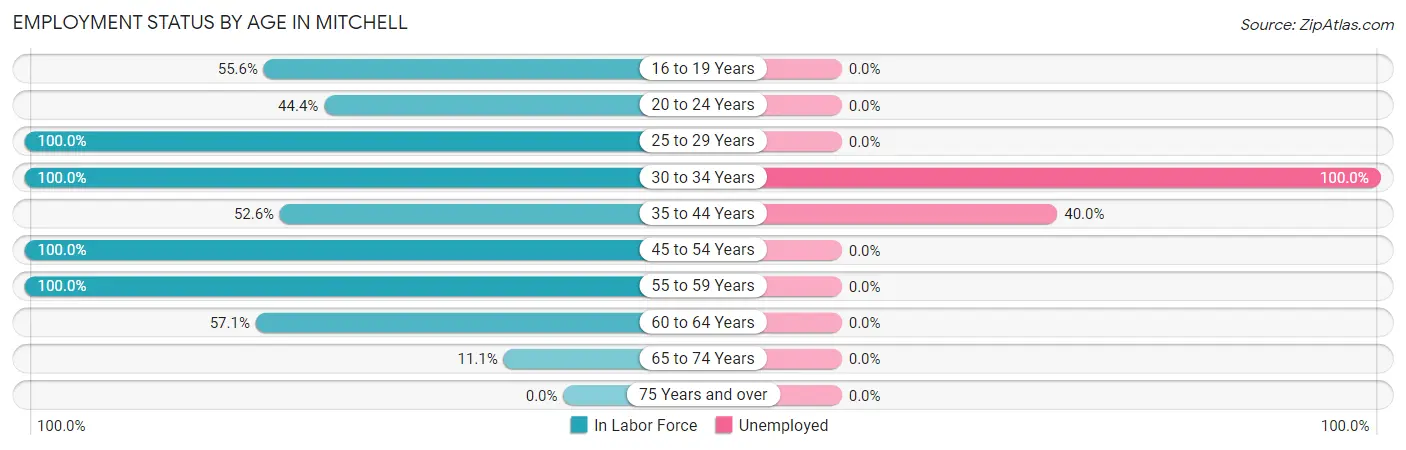 Employment Status by Age in Mitchell