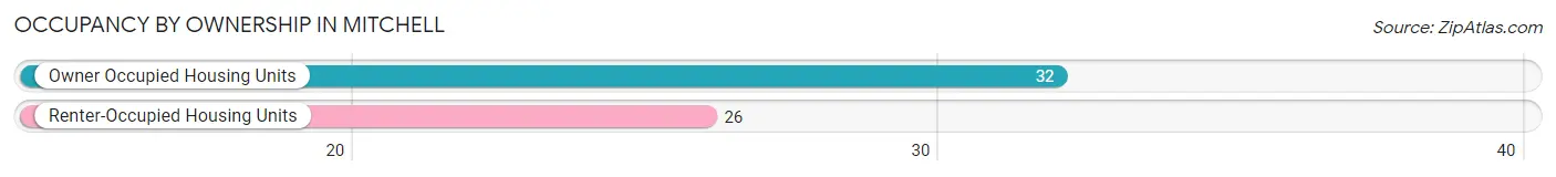Occupancy by Ownership in Mitchell
