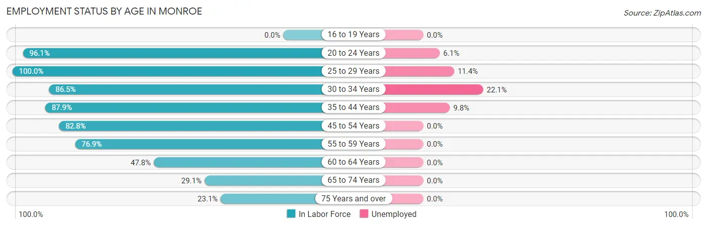 Employment Status by Age in Monroe