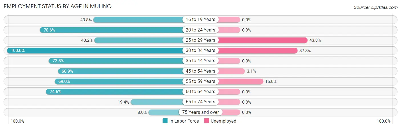 Employment Status by Age in Mulino
