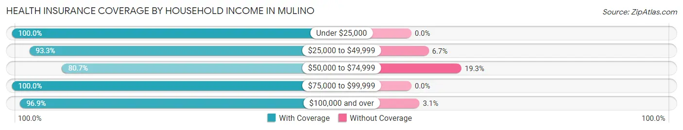 Health Insurance Coverage by Household Income in Mulino