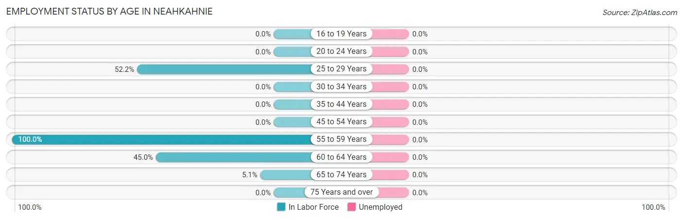 Employment Status by Age in Neahkahnie