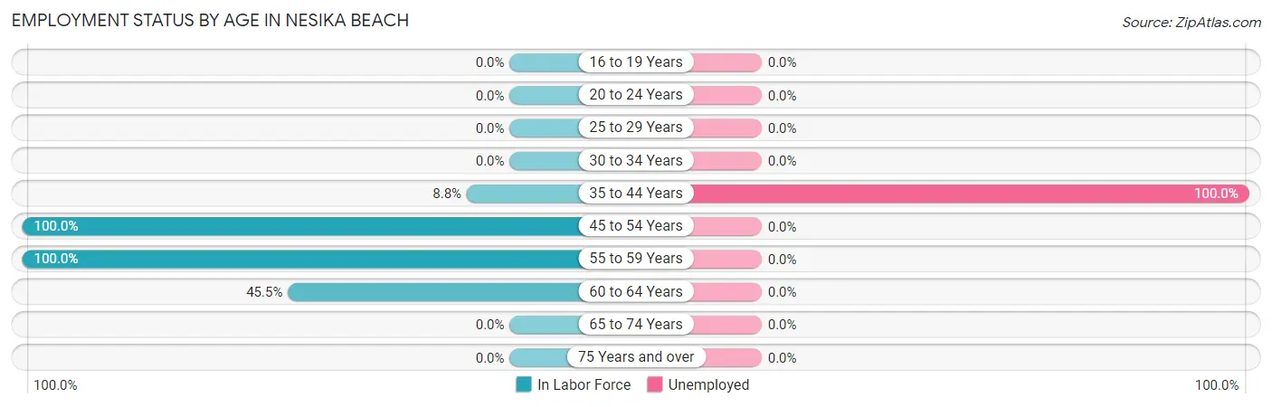 Employment Status by Age in Nesika Beach