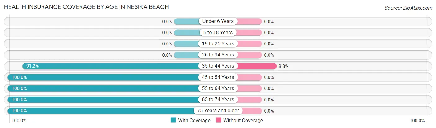 Health Insurance Coverage by Age in Nesika Beach