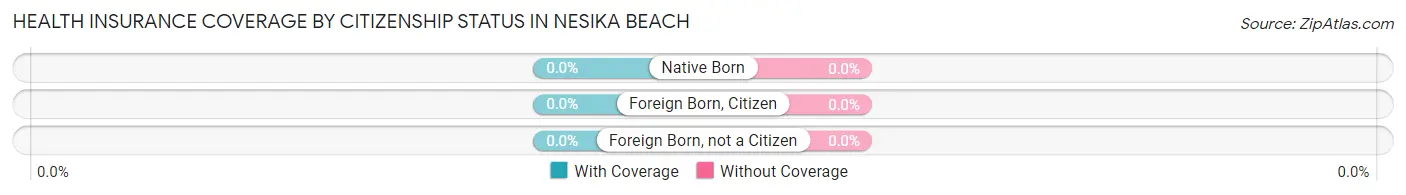Health Insurance Coverage by Citizenship Status in Nesika Beach