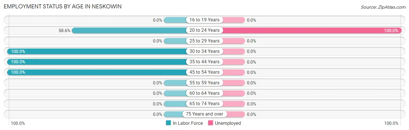Employment Status by Age in Neskowin
