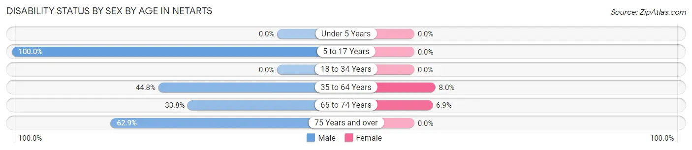 Disability Status by Sex by Age in Netarts