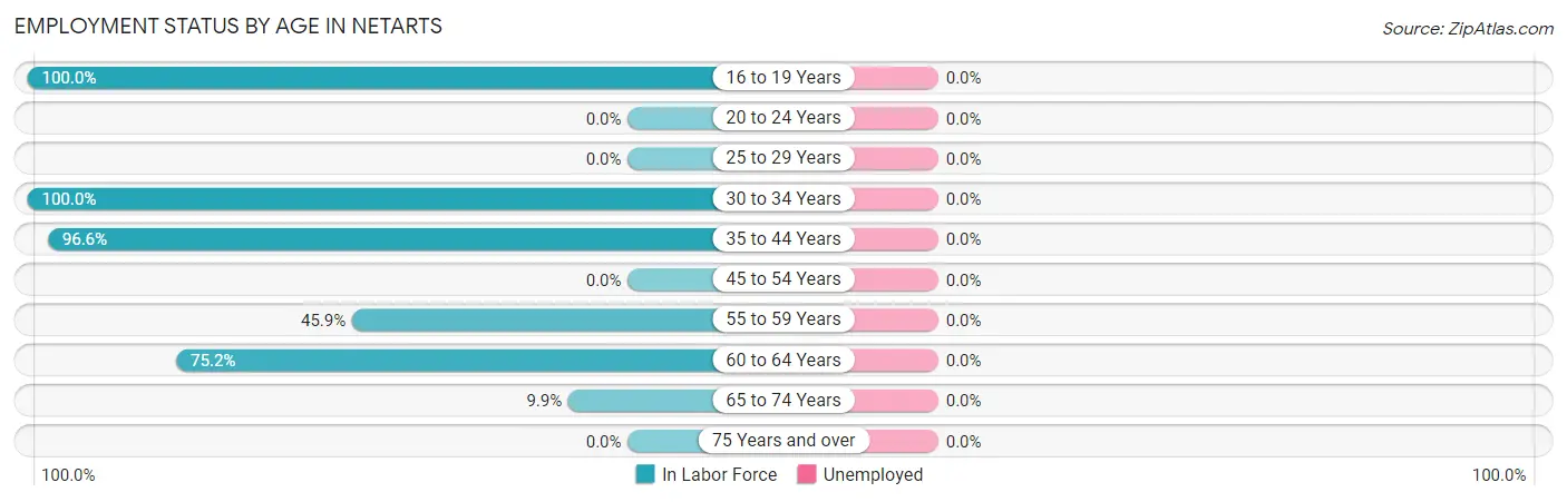 Employment Status by Age in Netarts