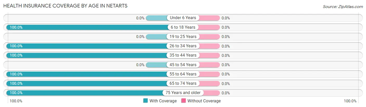 Health Insurance Coverage by Age in Netarts