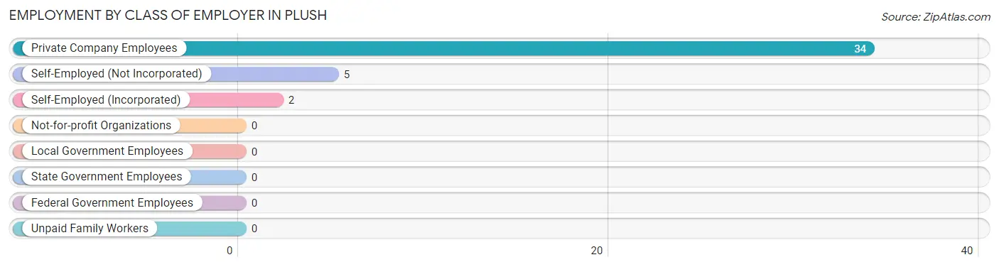 Employment by Class of Employer in Plush