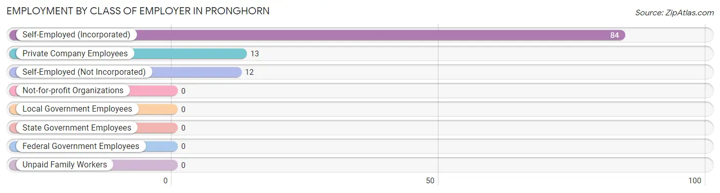 Employment by Class of Employer in Pronghorn