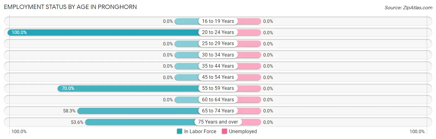 Employment Status by Age in Pronghorn