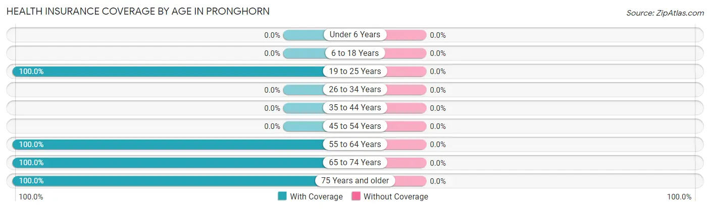 Health Insurance Coverage by Age in Pronghorn
