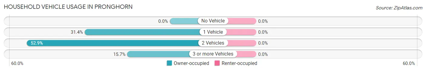 Household Vehicle Usage in Pronghorn