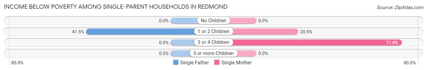 Income Below Poverty Among Single-Parent Households in Redmond