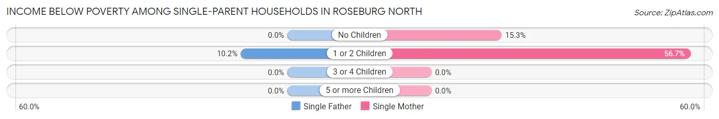 Income Below Poverty Among Single-Parent Households in Roseburg North