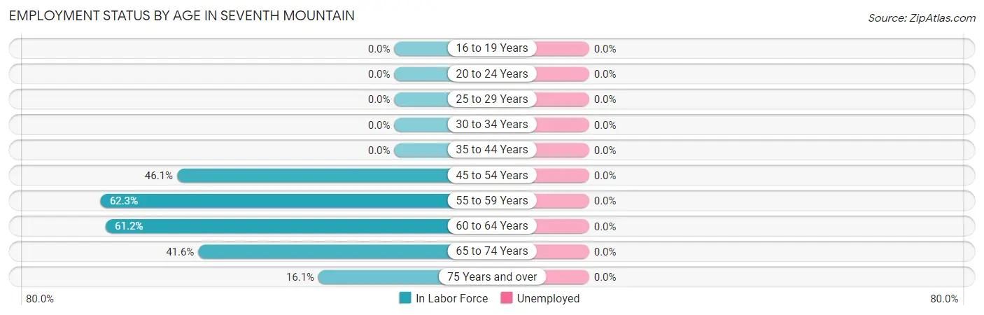 Employment Status by Age in Seventh Mountain