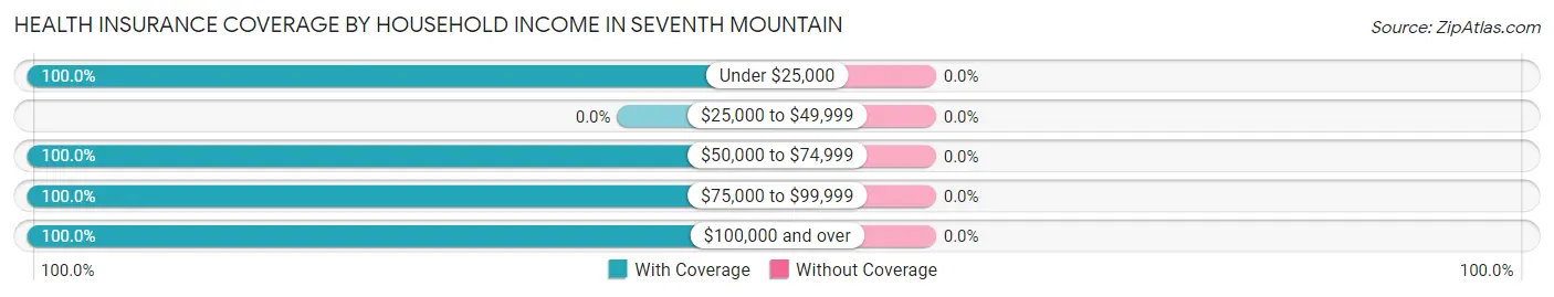 Health Insurance Coverage by Household Income in Seventh Mountain