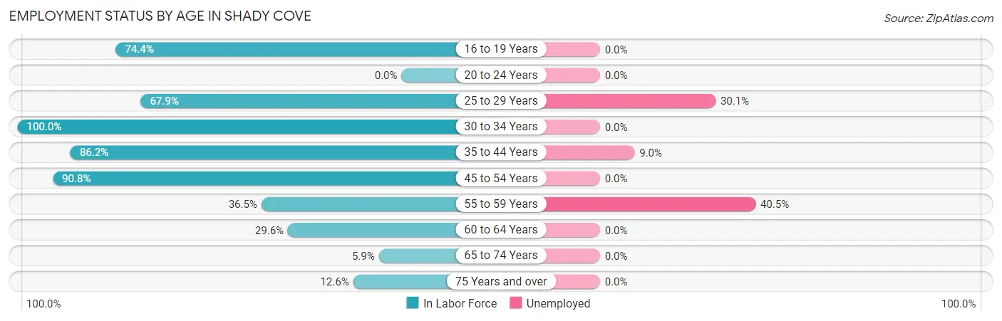Employment Status by Age in Shady Cove