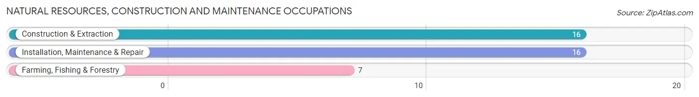 Natural Resources, Construction and Maintenance Occupations in South Lebanon