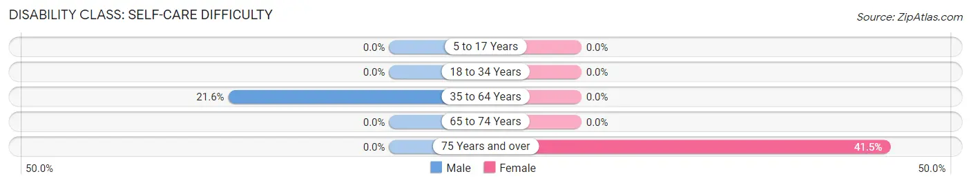 Disability in South Lebanon: <span>Self-Care Difficulty</span>