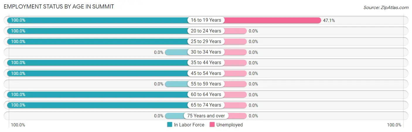 Employment Status by Age in Summit