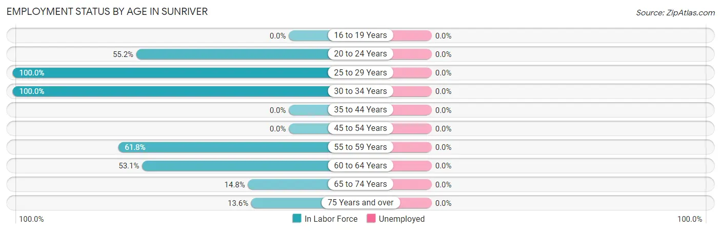 Employment Status by Age in Sunriver