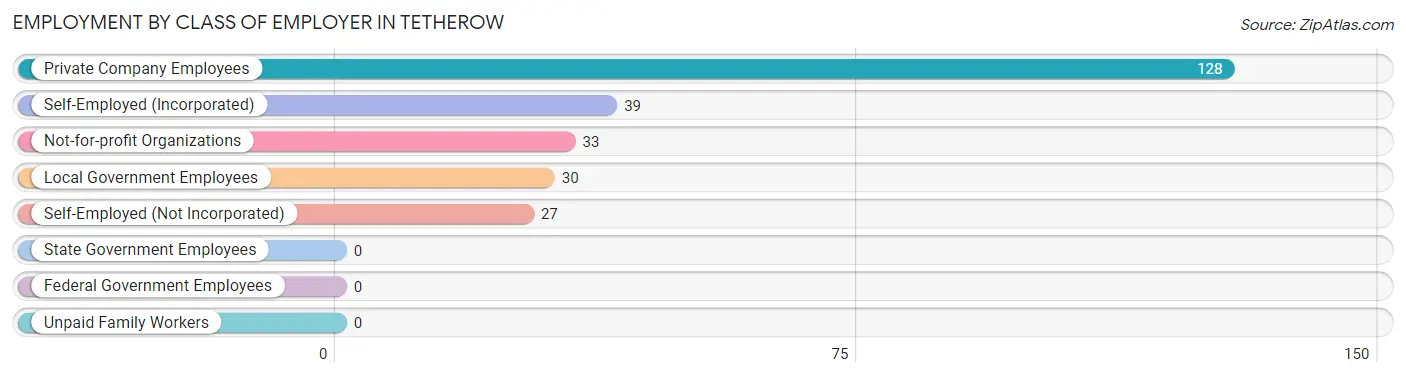 Employment by Class of Employer in Tetherow