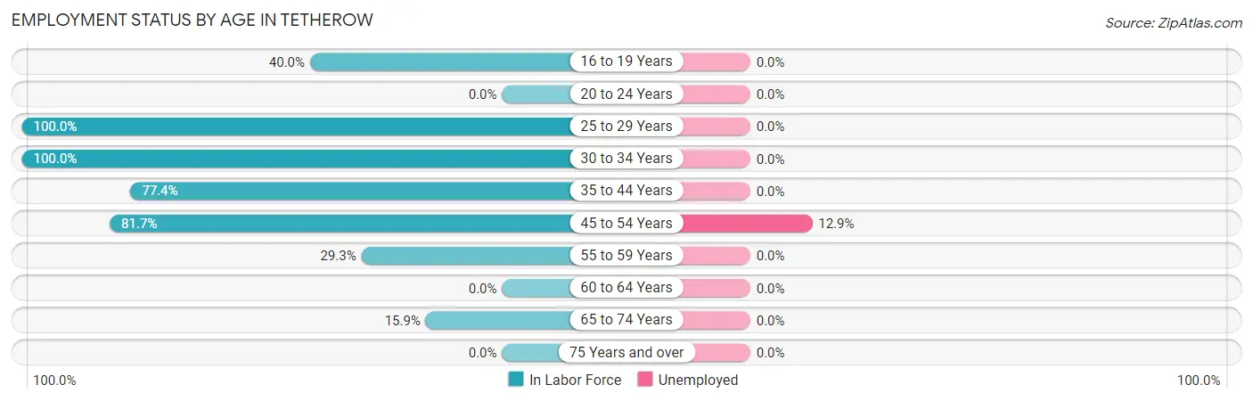 Employment Status by Age in Tetherow