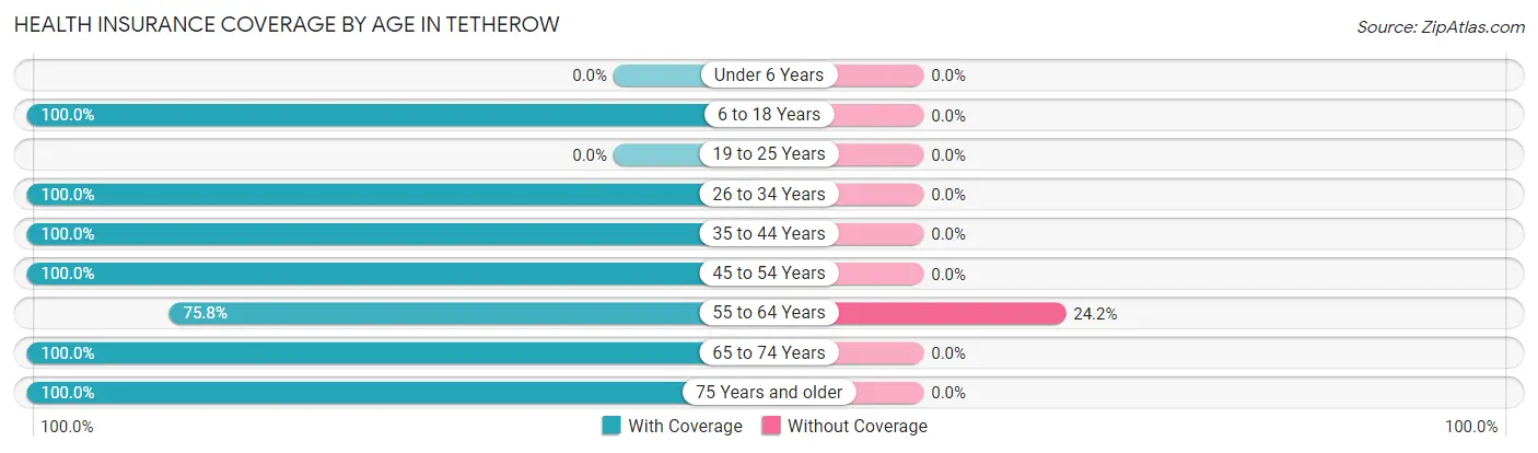 Health Insurance Coverage by Age in Tetherow